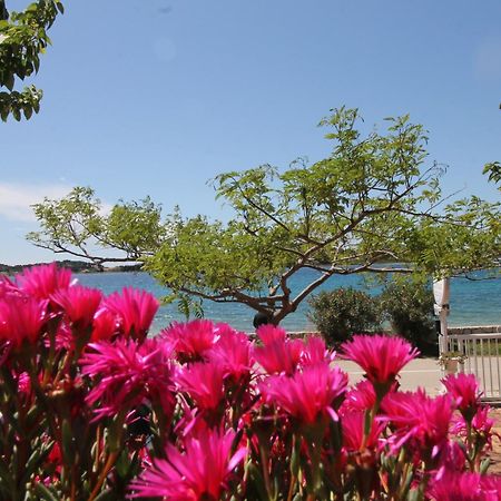 Villa Aurelia โวดีเซ ภายนอก รูปภาพ