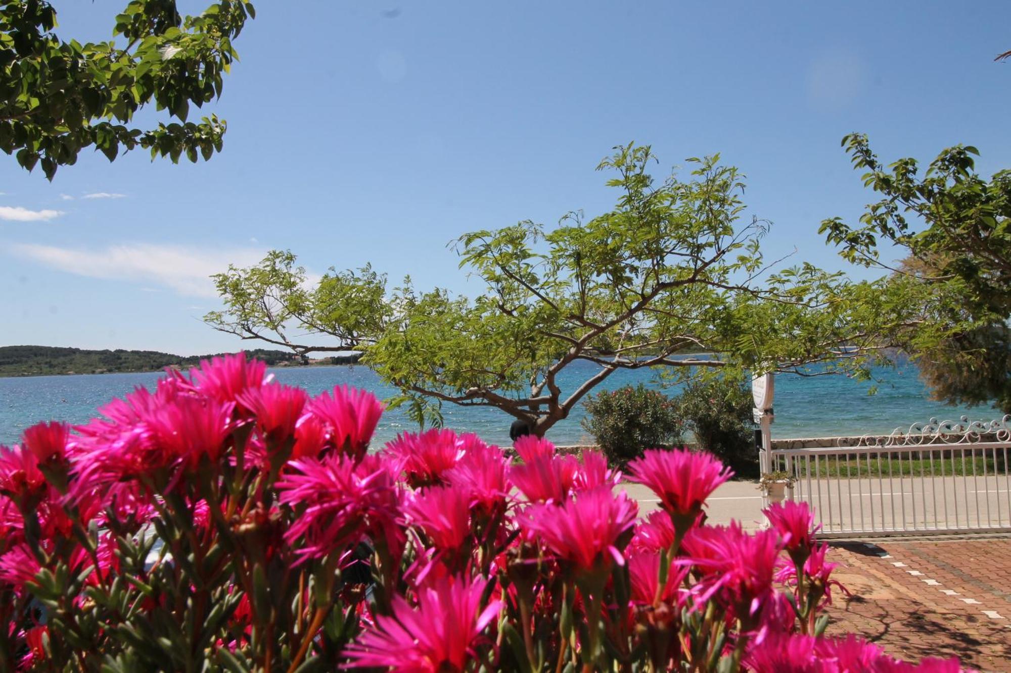 Villa Aurelia โวดีเซ ภายนอก รูปภาพ